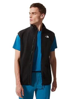 100 Glacier vest>The North Face Online