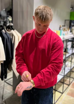 Zhang Washed Crew>Woodbird