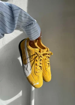 Speedcat OG><noscript><img width=