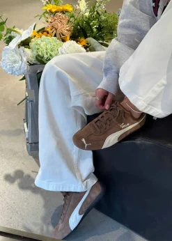 Speedcat OG><noscript><img width=