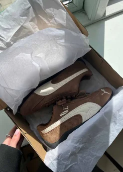 Speedcat OG><noscript><img width=