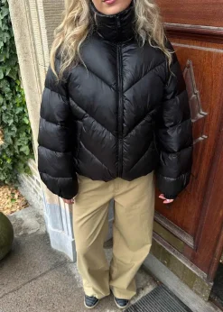 Tetrismd jacket><noscript><img width=