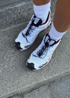 XA PRO 3D><noscript><img width=