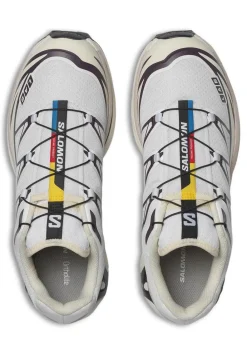 XT-6><noscript><img width=