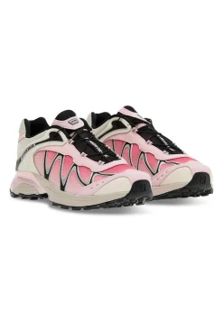 XT-WHISPER><noscript><img width=